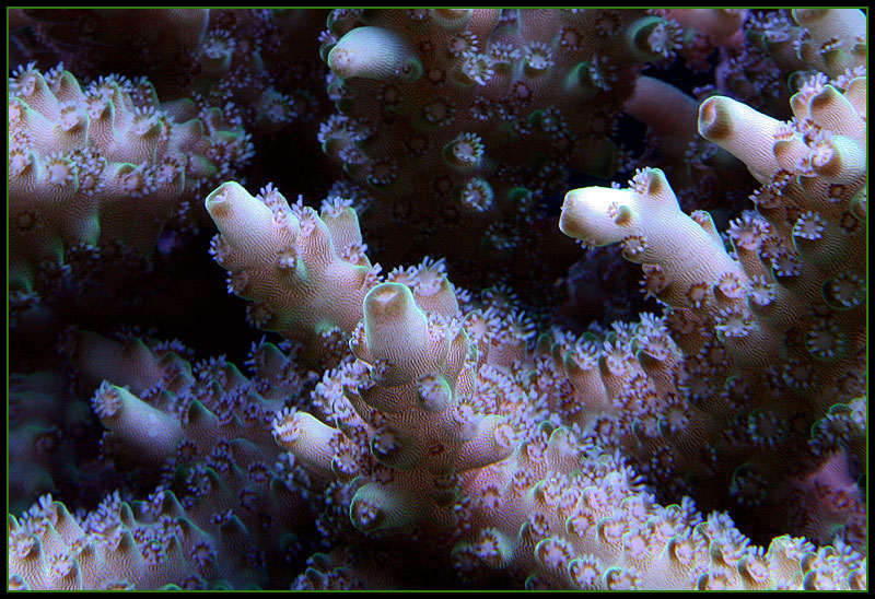 722_acro.jpg