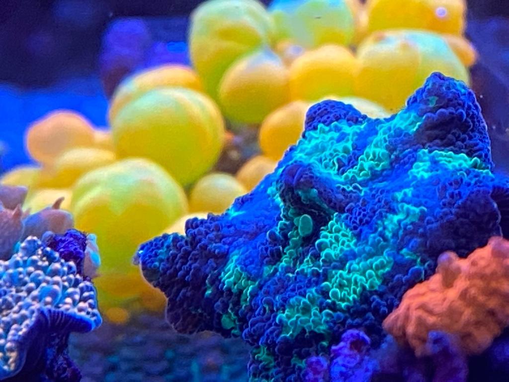 f61a7e25e1ebce3795fc21ff6cdeeef0.jpg