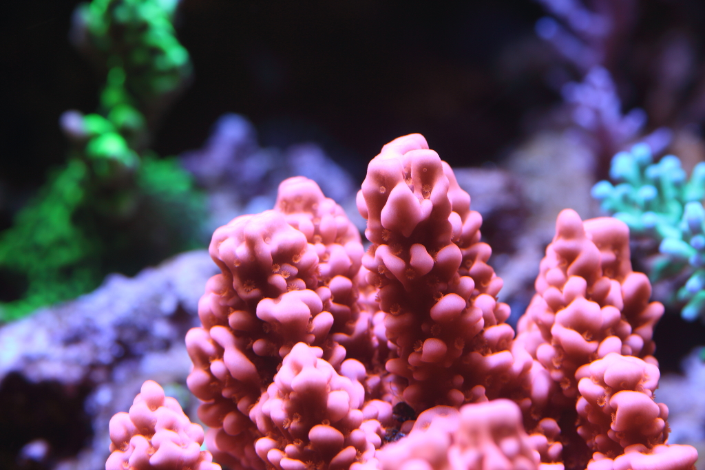 Nov2013M0052.JPG