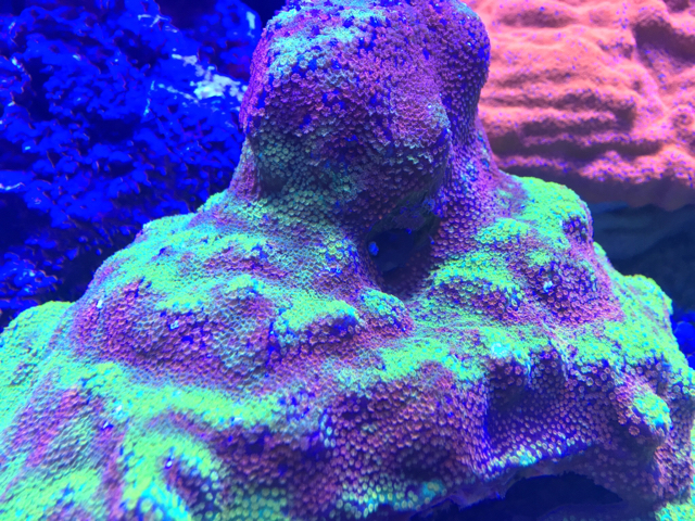 914a4b1e154227ac68f06b05ff892cd0.jpg