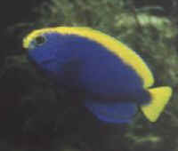 respl02.jpg