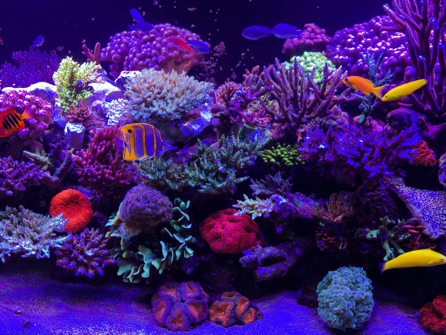 fd58cf4fde196f325da34bbad44c8c1c.jpg
