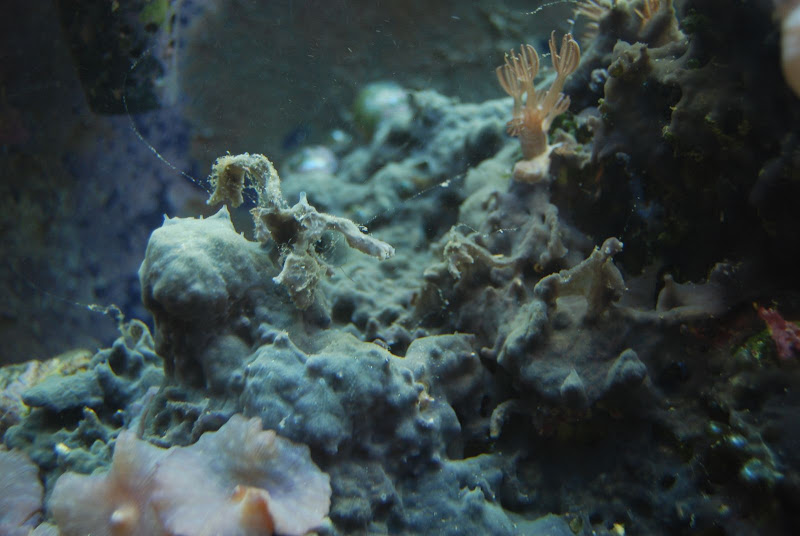 DSC_7952.JPG