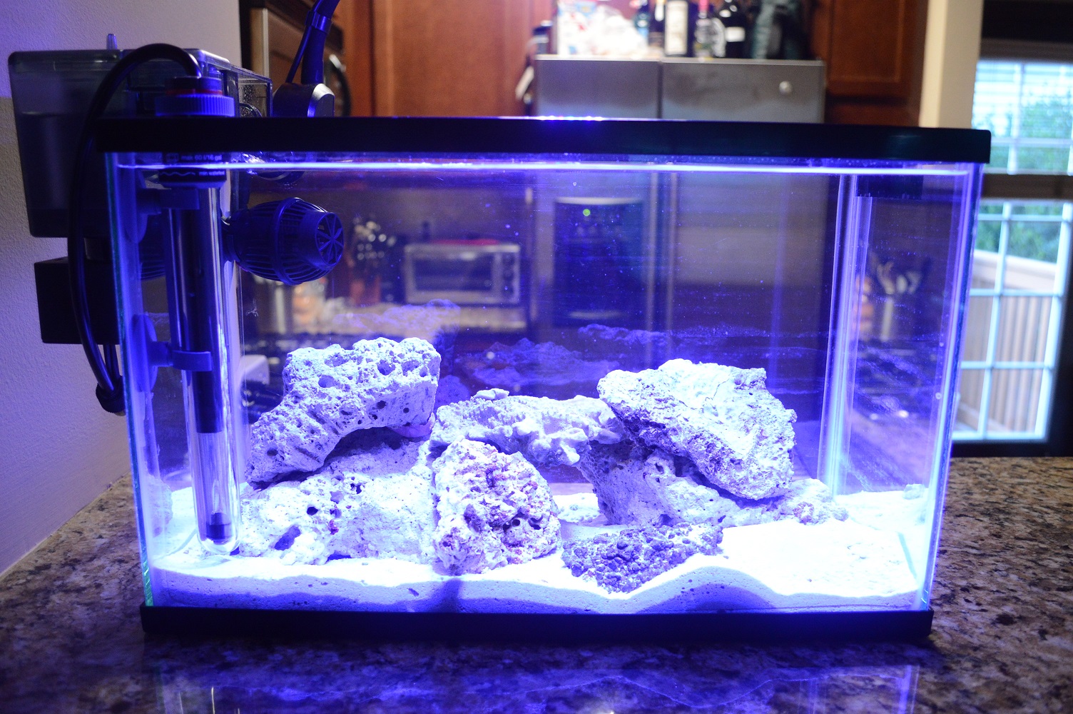 Fish2.JPG