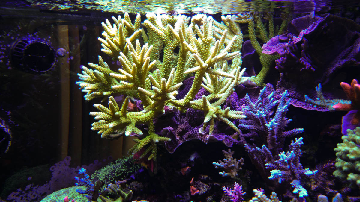 DSC_0033.jpg