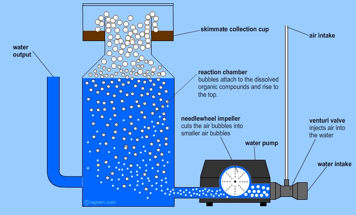 diagram-protein-skimmer.jpg