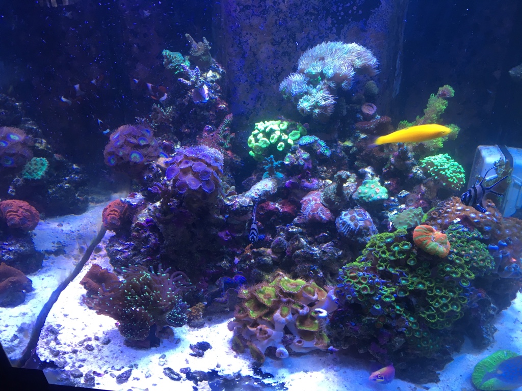 ccff5413470eb045c461b8b63ea74f56.jpg