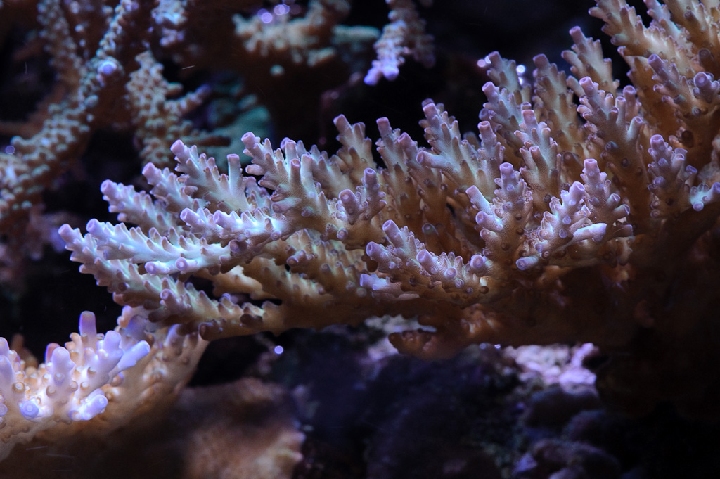 DSC_1806.jpg