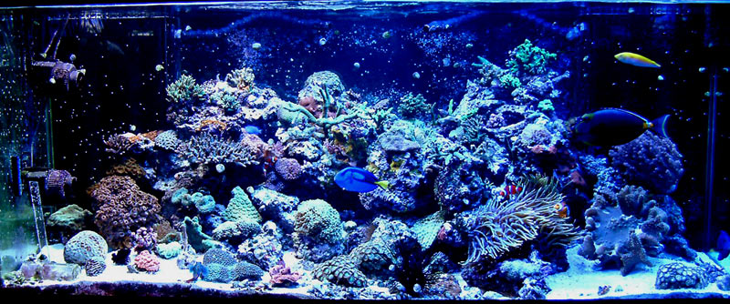 280g_fulltank_120505.jpg