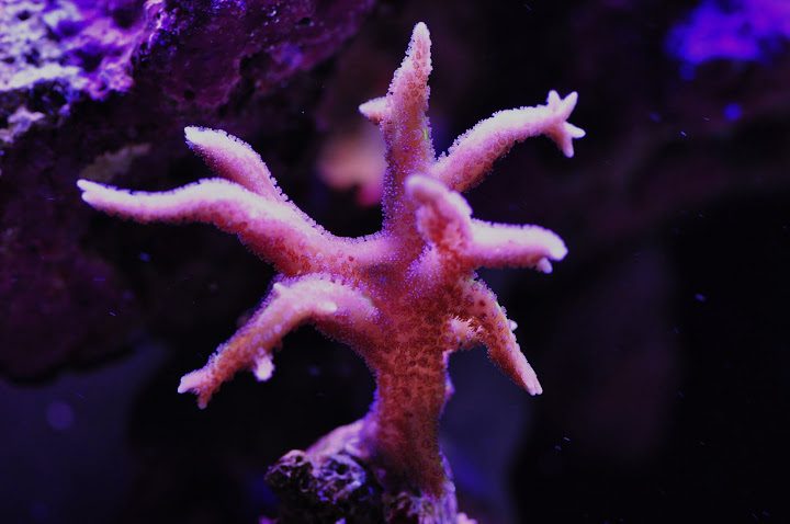 DSC_3062.JPG