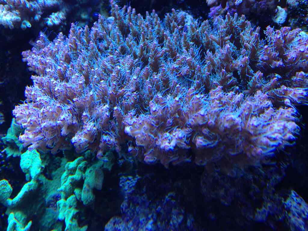 ubure9a3.jpg
