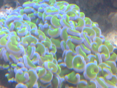 3599150982_85bf85b36d.jpg