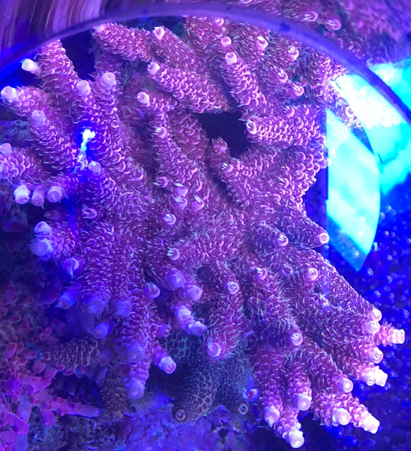 8c29ab1c4d3442ee30666e25ae8b7d1b.jpg