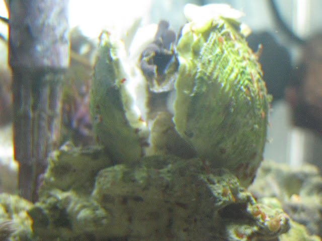 IMG_3568.JPG