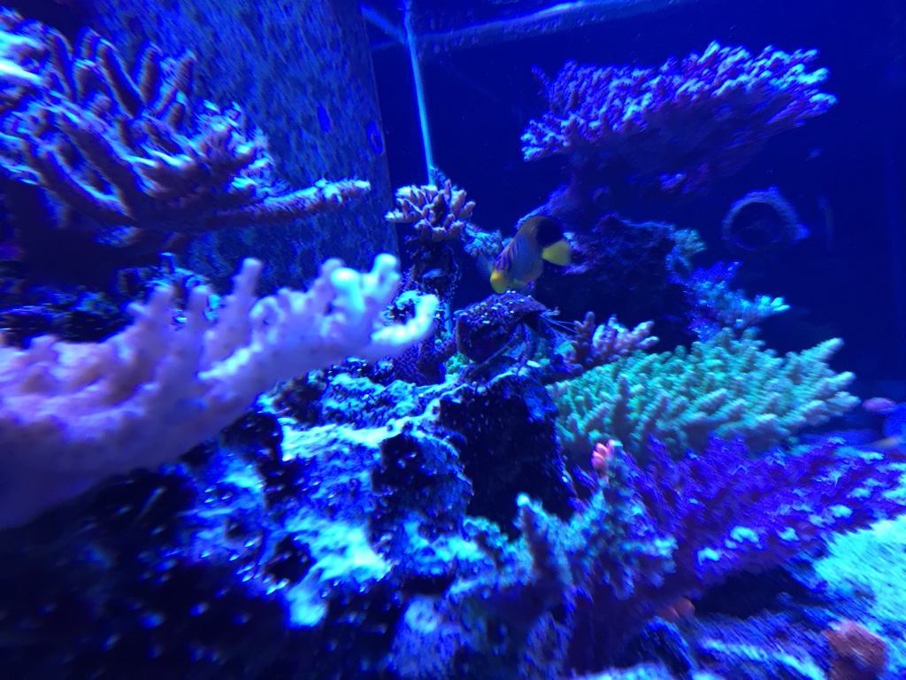 d414e1a3d9b0de280c37730f2db29ade.jpg