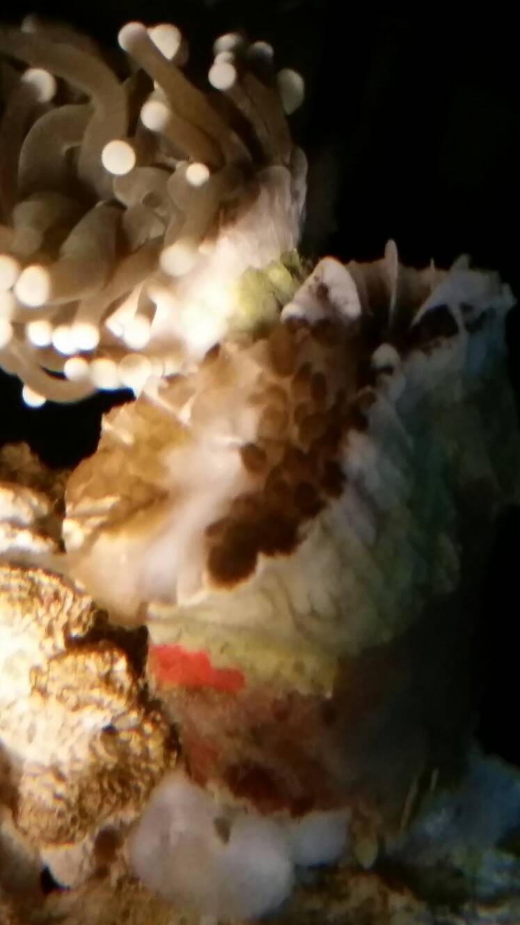 90515b13982179838272ad22d0483875.jpg