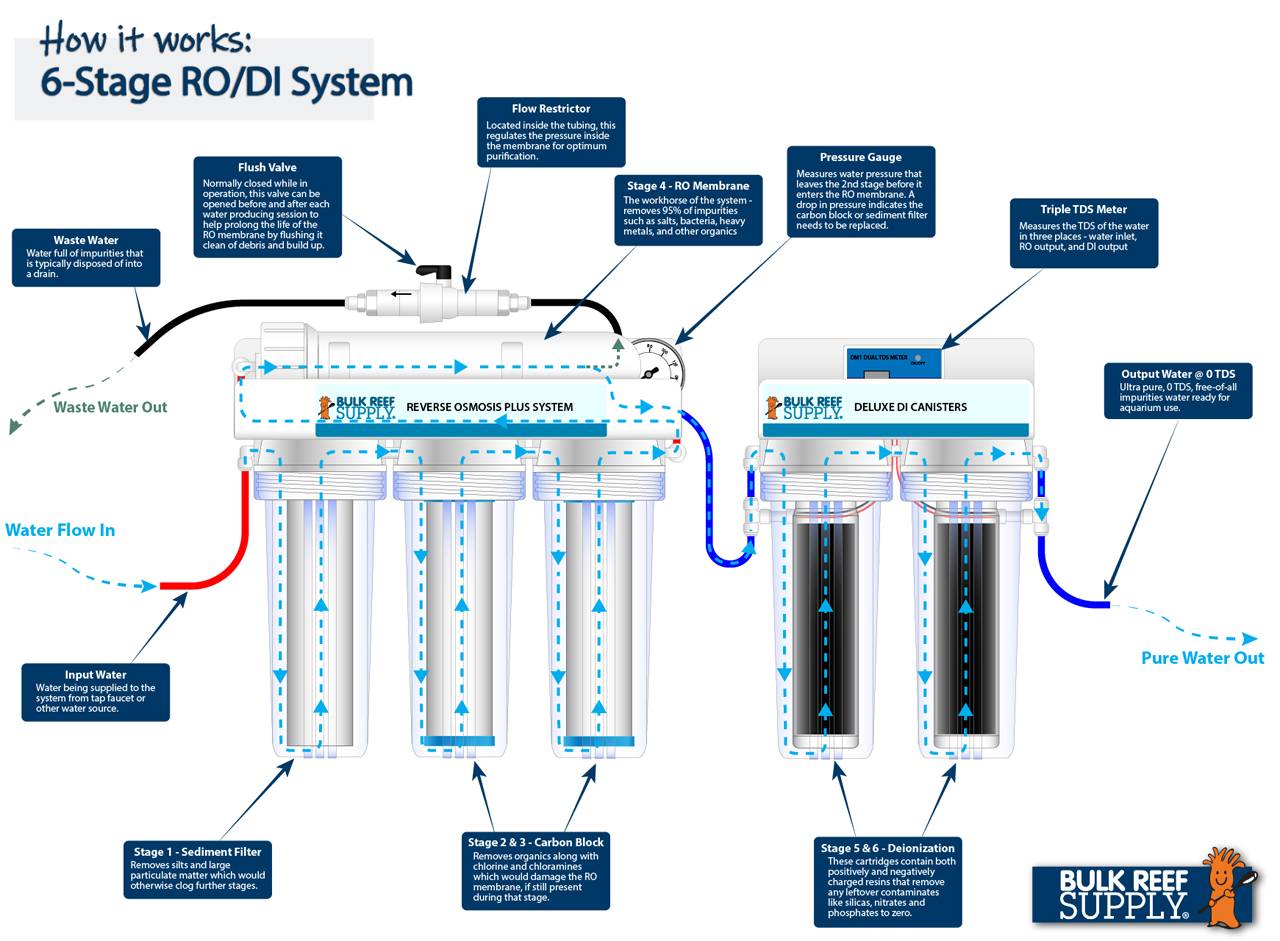 6-Stage_RODI_-_BRS-03.jpg