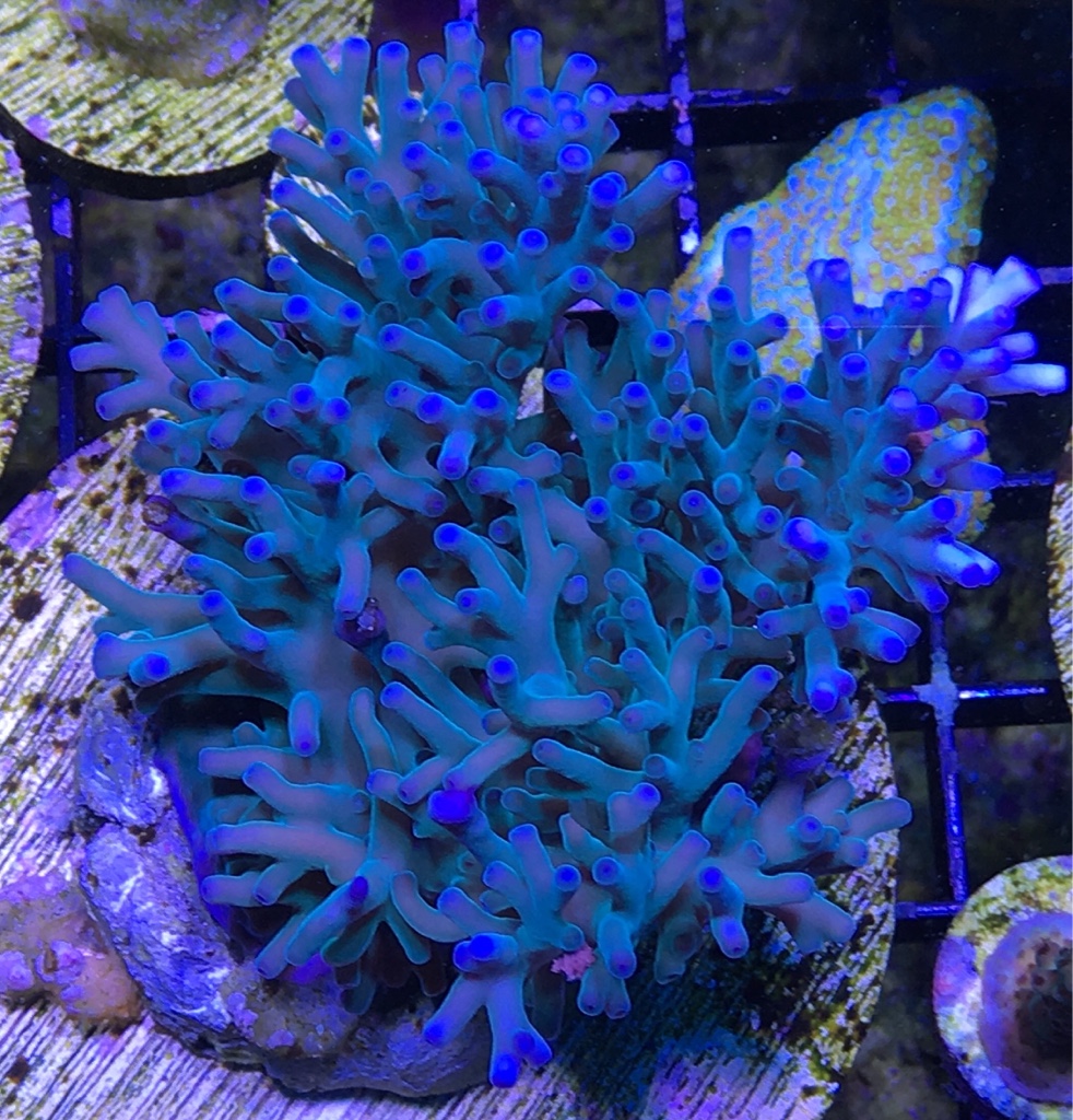 9b03cf1f291c6ff99abe360c20d75477.jpg