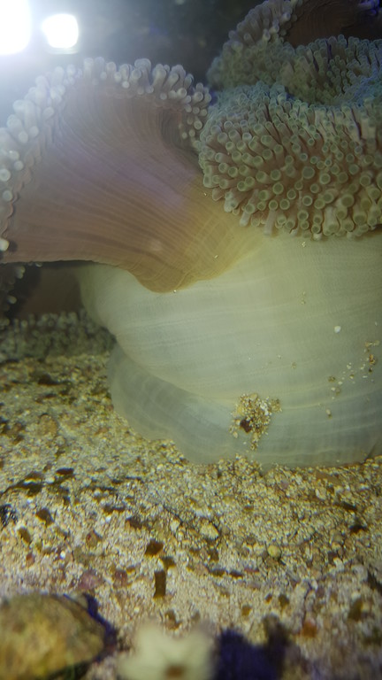 20170104_221734-XL.jpg