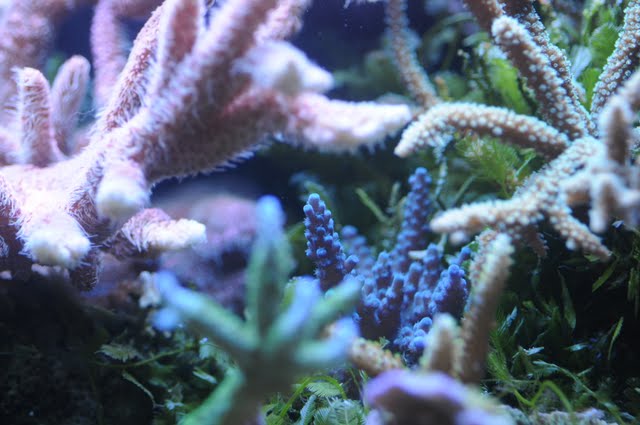 DSC_2188.JPG