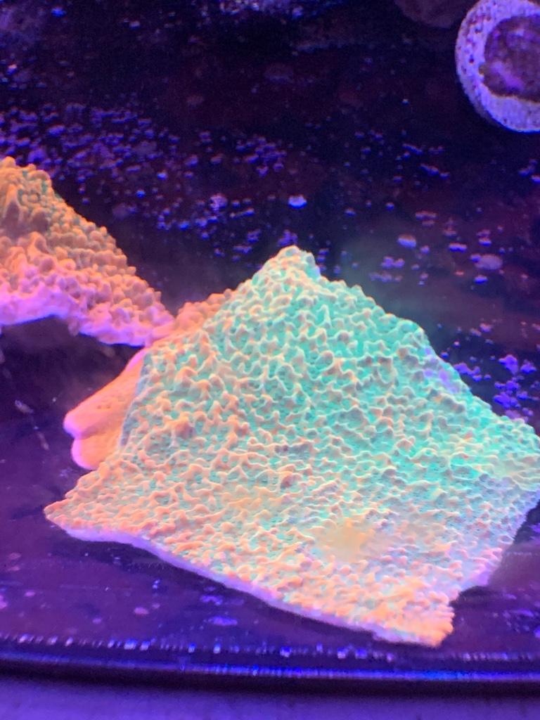 2bc657e311d34c242a1e77594c7c1a86.jpg