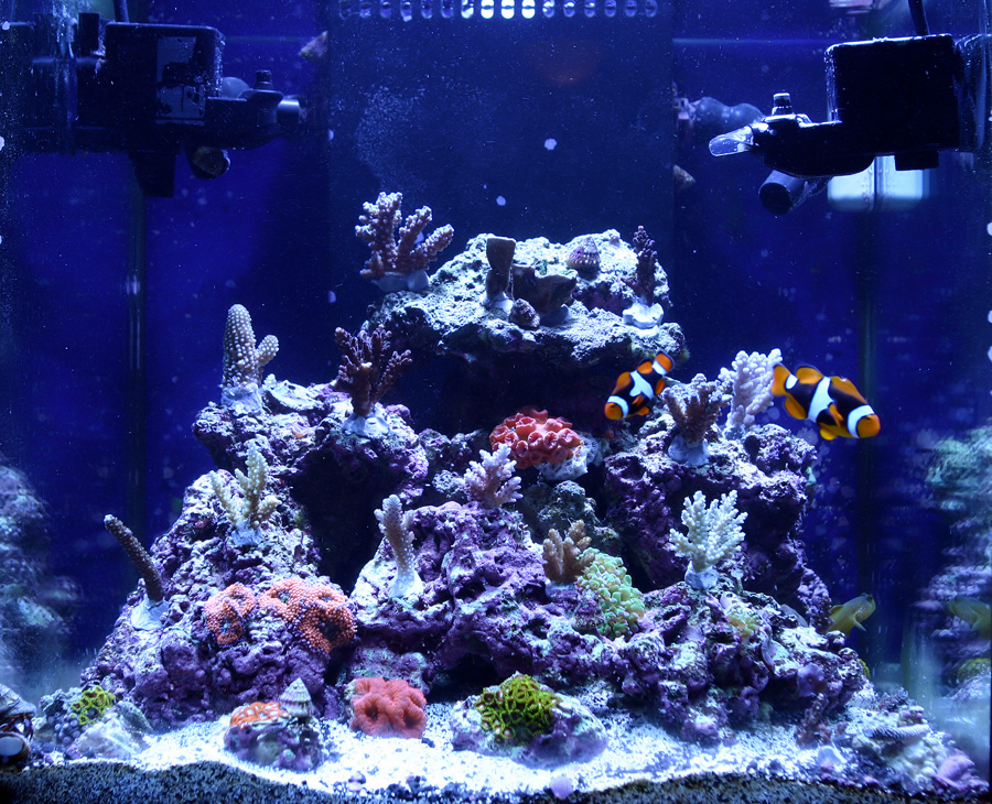 tank_090105.jpg