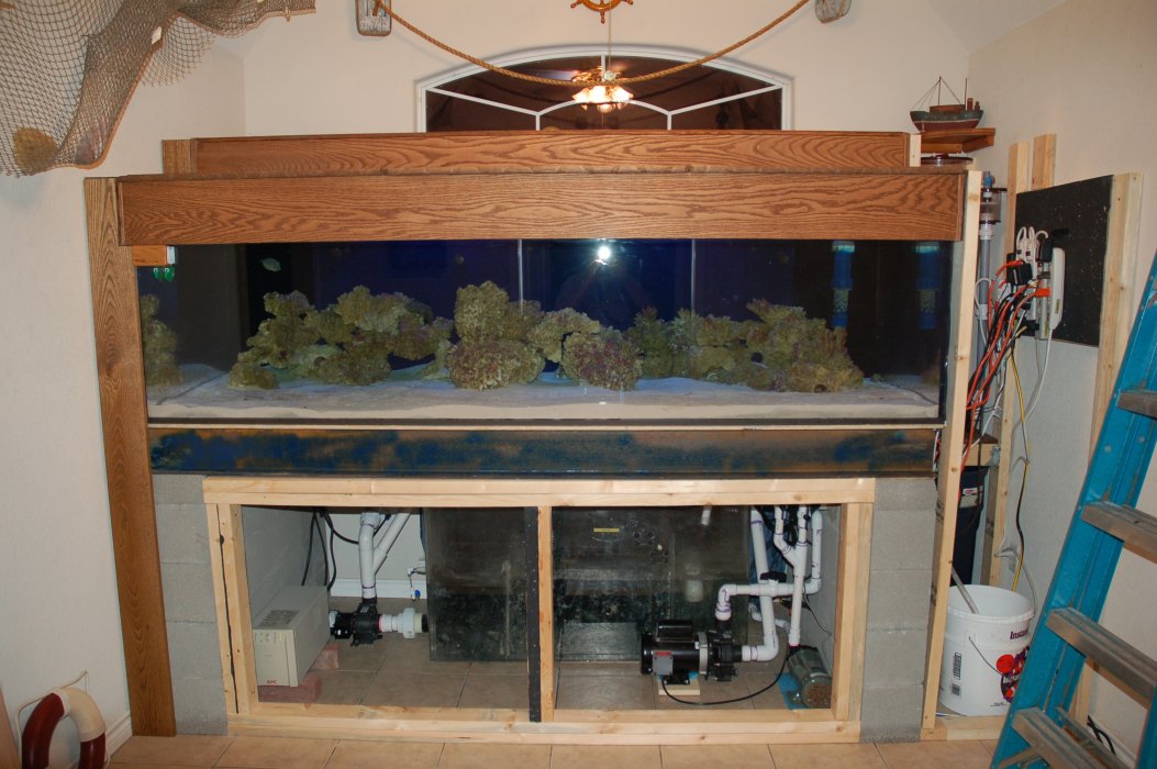 fishroom68.jpg