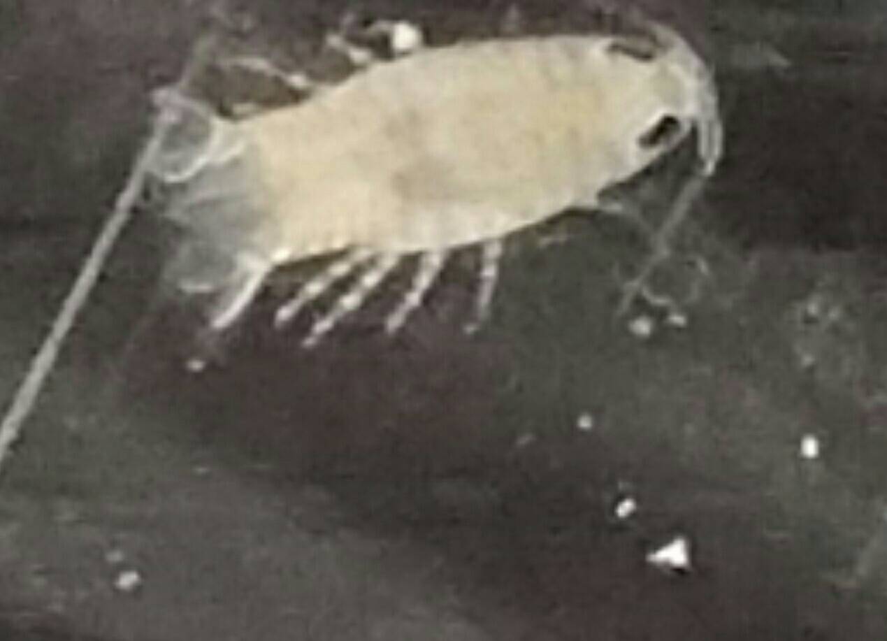 5e255e1a22c0ddc94f7faa05ab0b014a.jpg