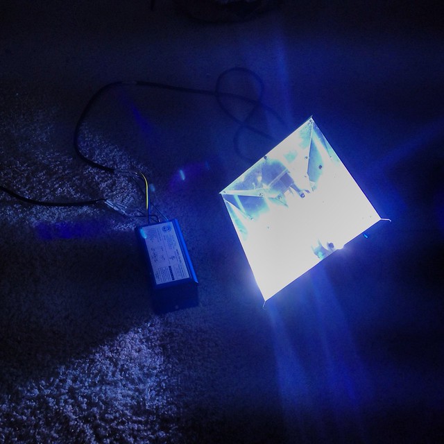 12102993874_d706622c91_z.jpg