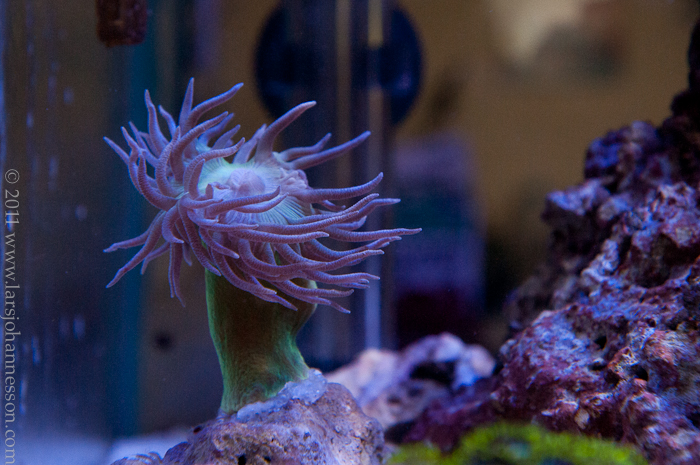 20110322-_DSC0807.jpg