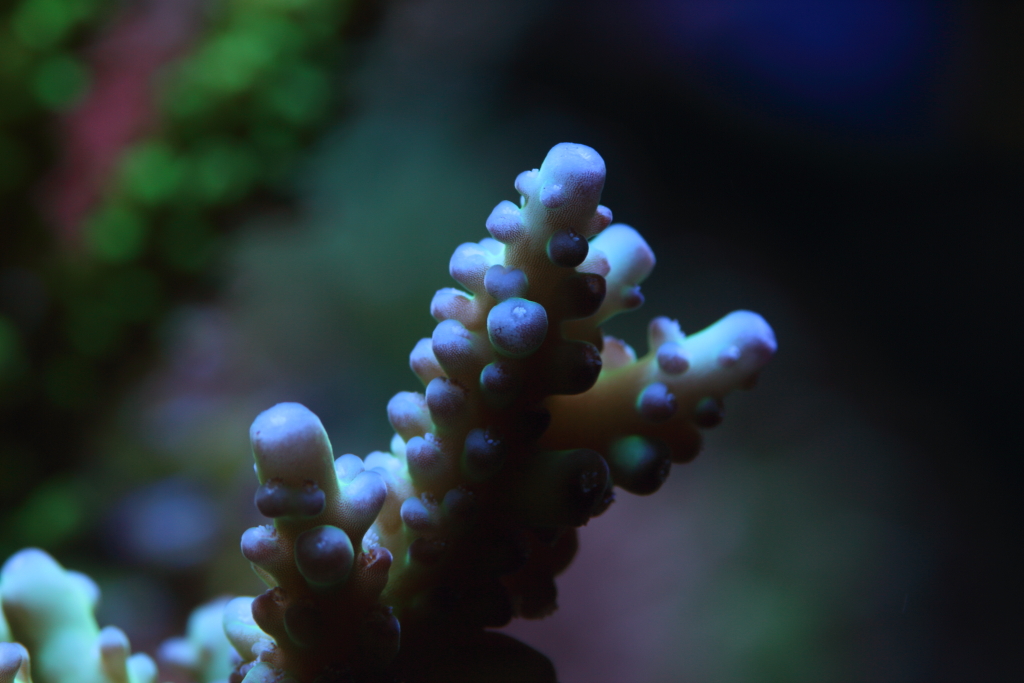 Nov2013M0054.JPG