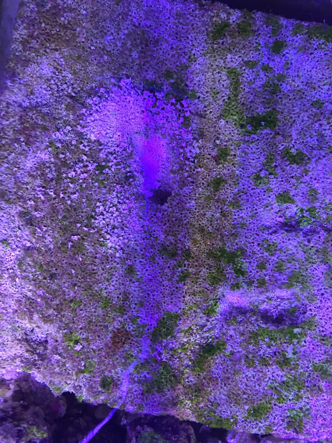 e9eb20e621640a6f0bbbf44cb997d7e4.jpg