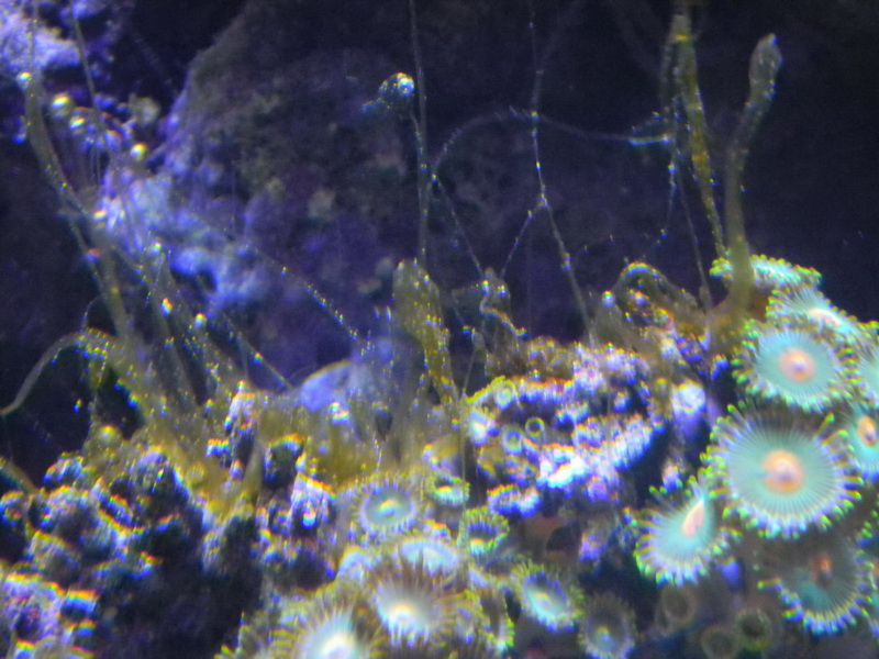 DSCN0951.JPG