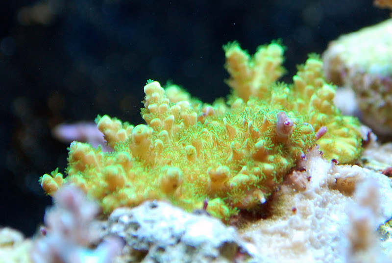 DSC_6971.JPG