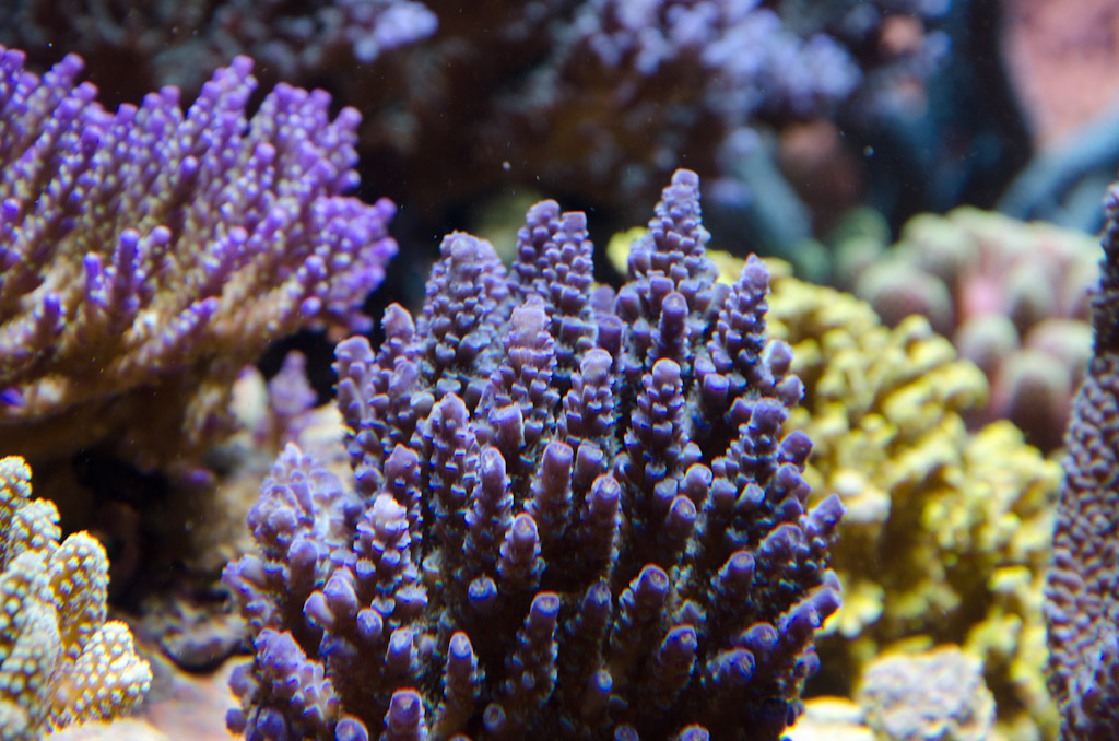 DSC_3755.jpg