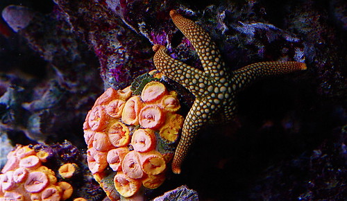 3051326181_98a4b0c8ec.jpg