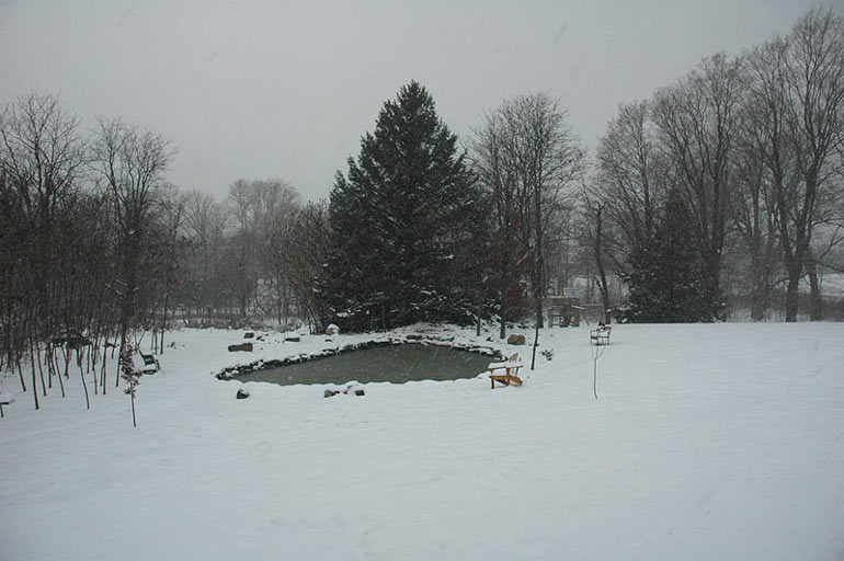 snow68.jpg