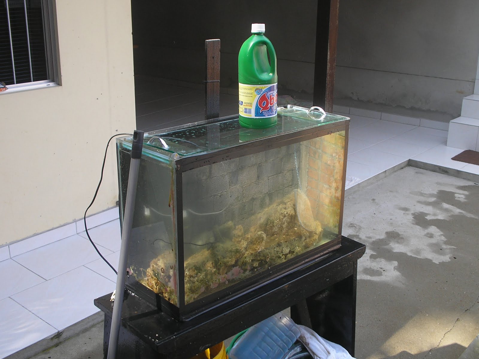 P1010005.JPG