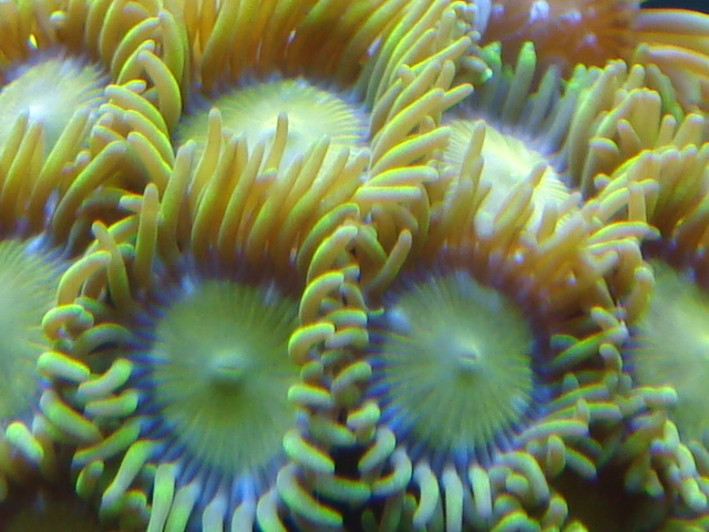4160750451_e235059e41_o.jpg