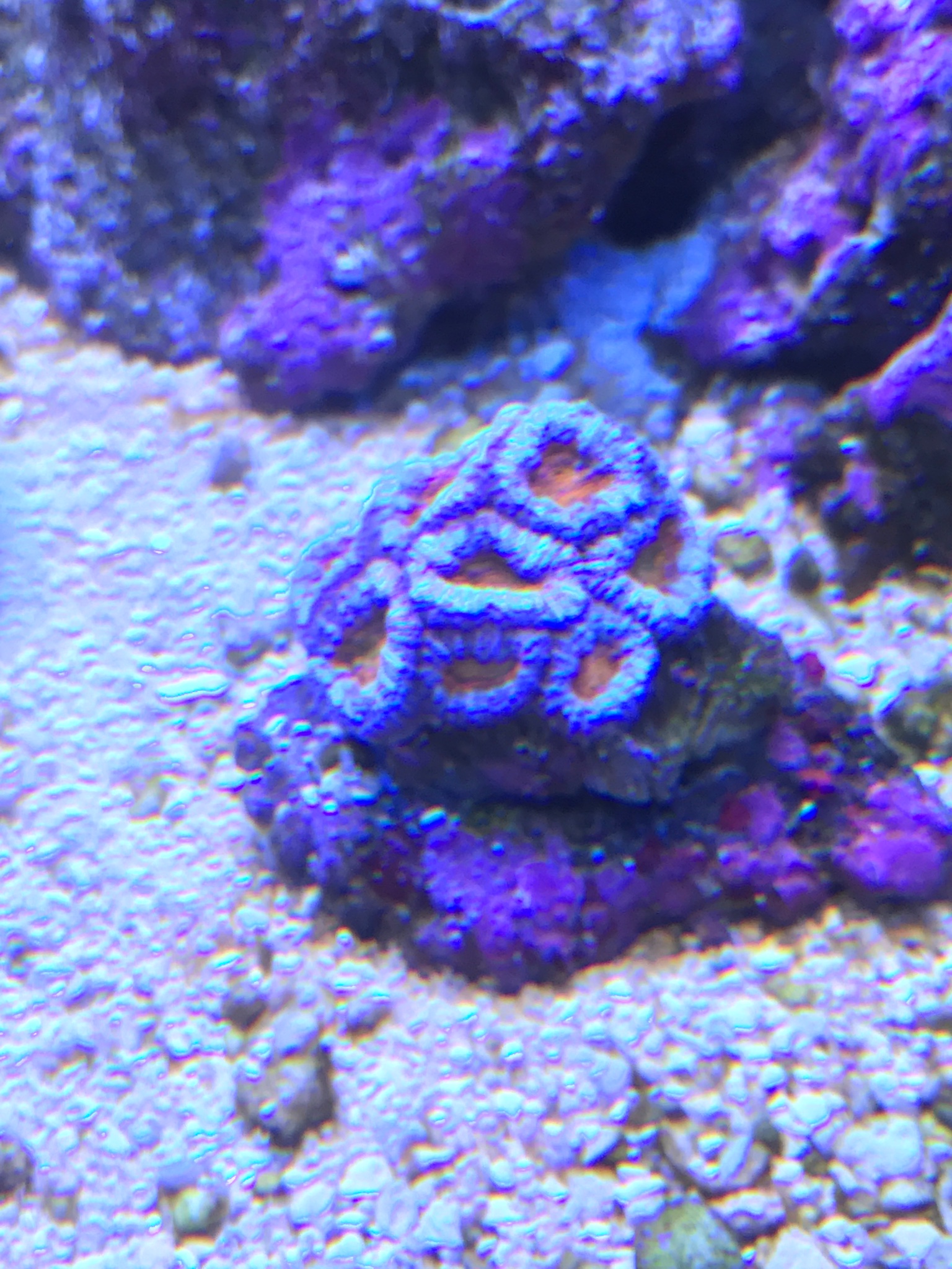 e78172ae5c5d427a4a65da59094d7f31.jpg