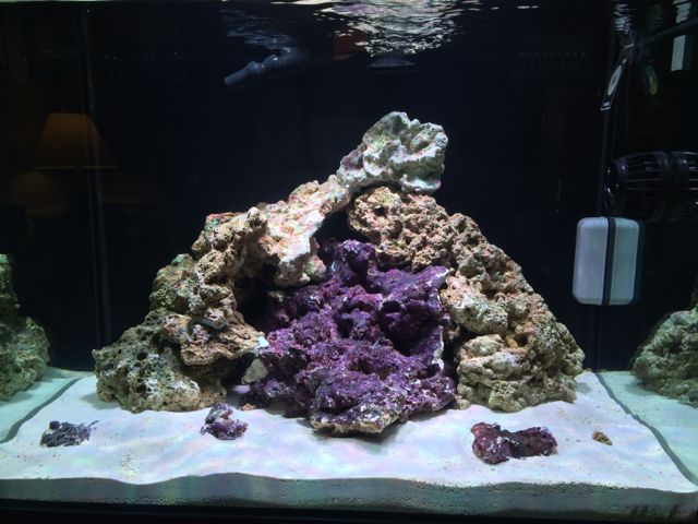 bobs-reef4.jpg