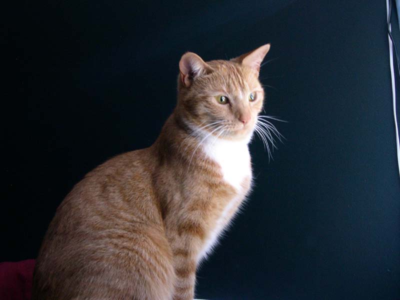 DSCN7971.jpg