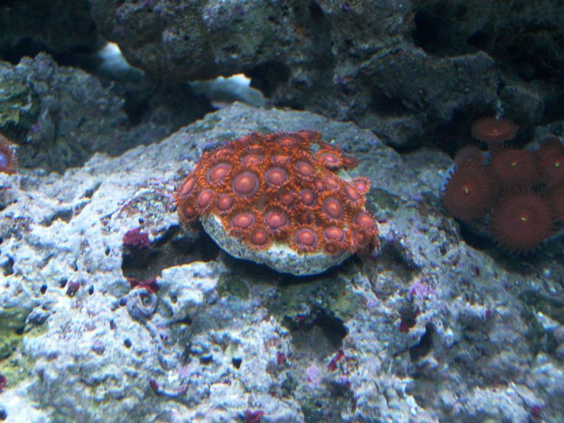100_8525r.jpg