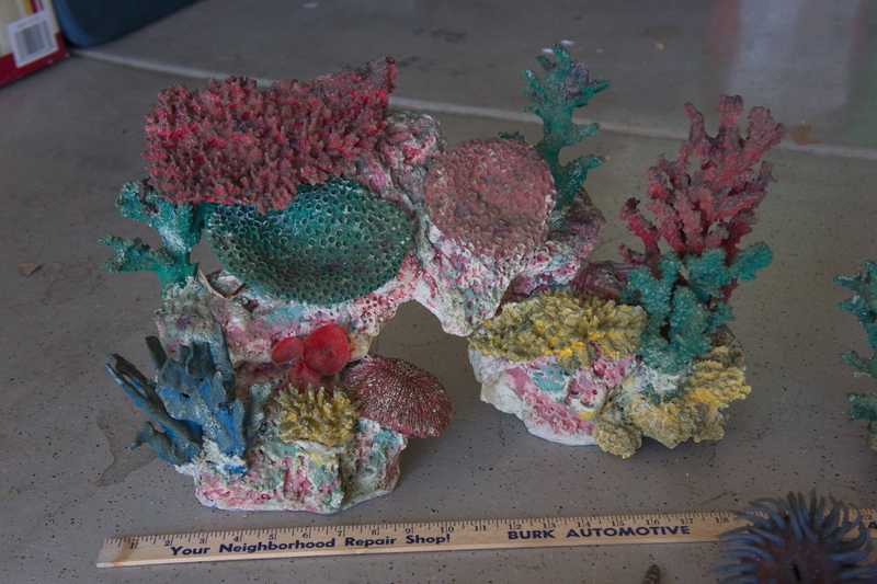 DSC01172_resize.jpg