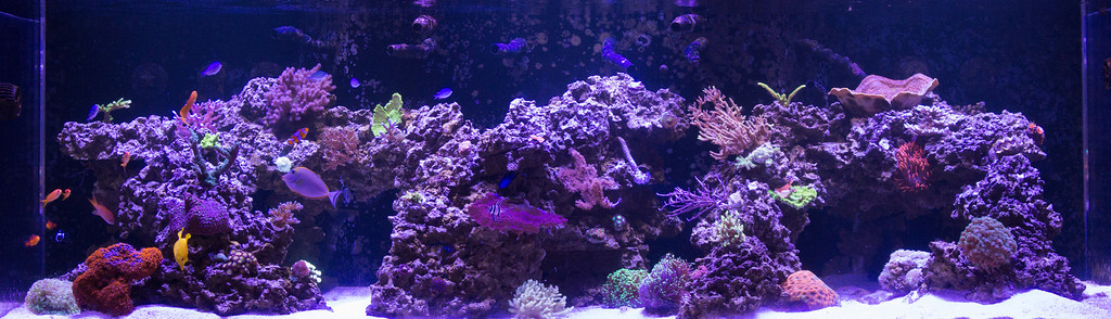 FTS-1-XL.jpg