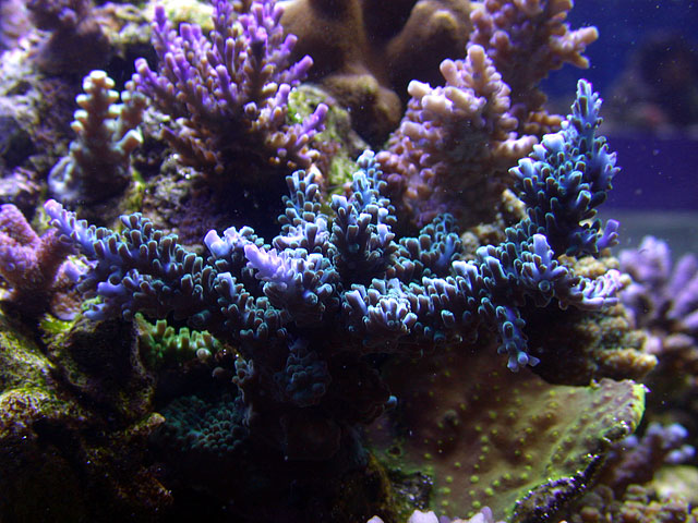 DSCN0441.jpg