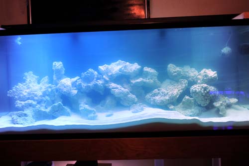 aquascape%204-7-11.jpg