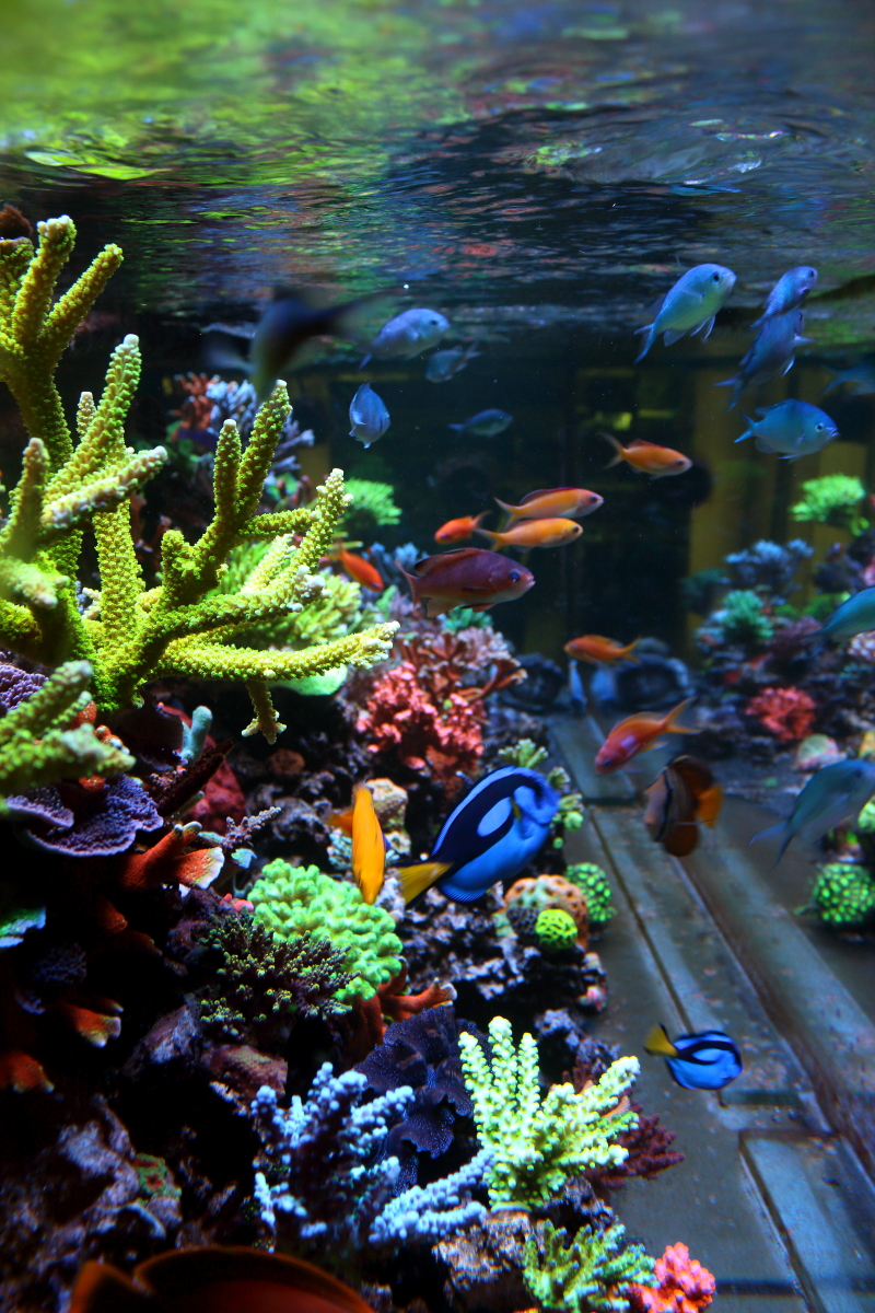 Sept20130030.JPG