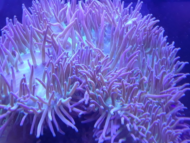23a375d9132232b67968f3f3079b0aa2.jpg