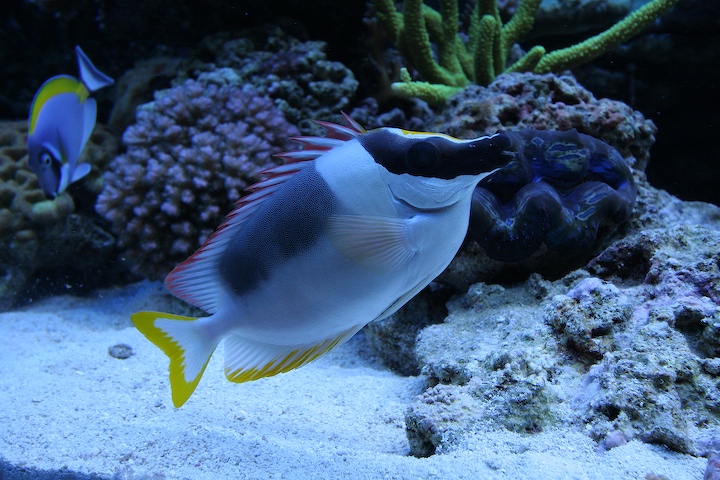 4-june_2006-5.jpg